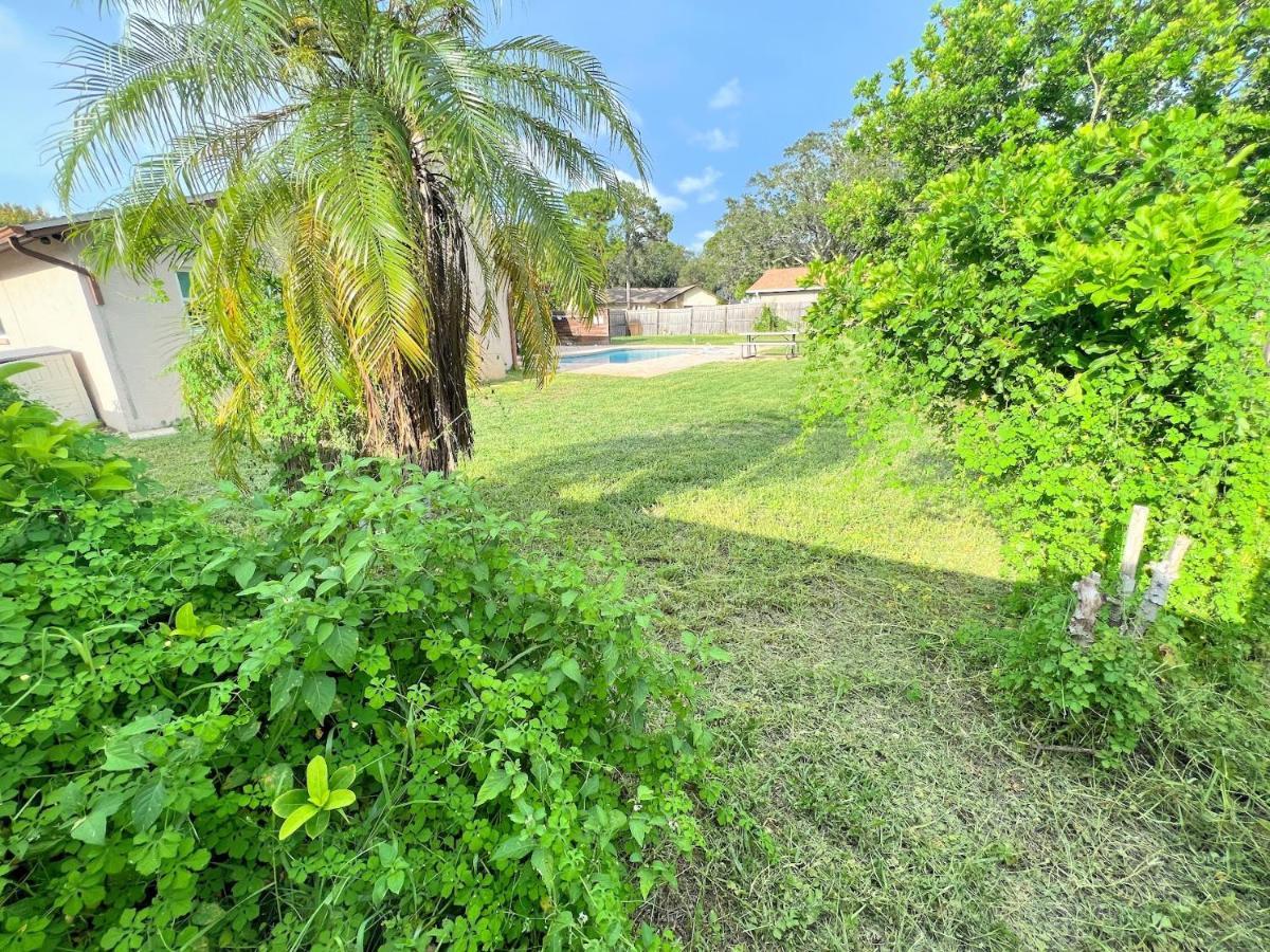 Hébergement de vacances Dream Vacation W Heated Pool Close To Beaches Clearwater St Pete Sleeps 14 *